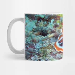 Nudibranch Mug